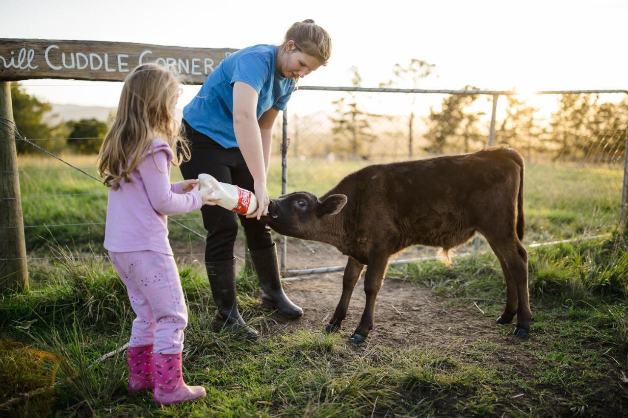 クニスナ Fernhill Guest Farmヴィラ エクステリア 写真