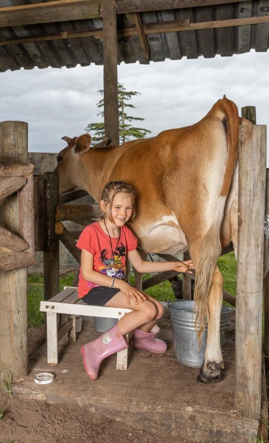クニスナ Fernhill Guest Farmヴィラ エクステリア 写真