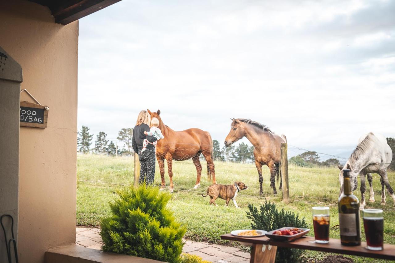 クニスナ Fernhill Guest Farmヴィラ エクステリア 写真