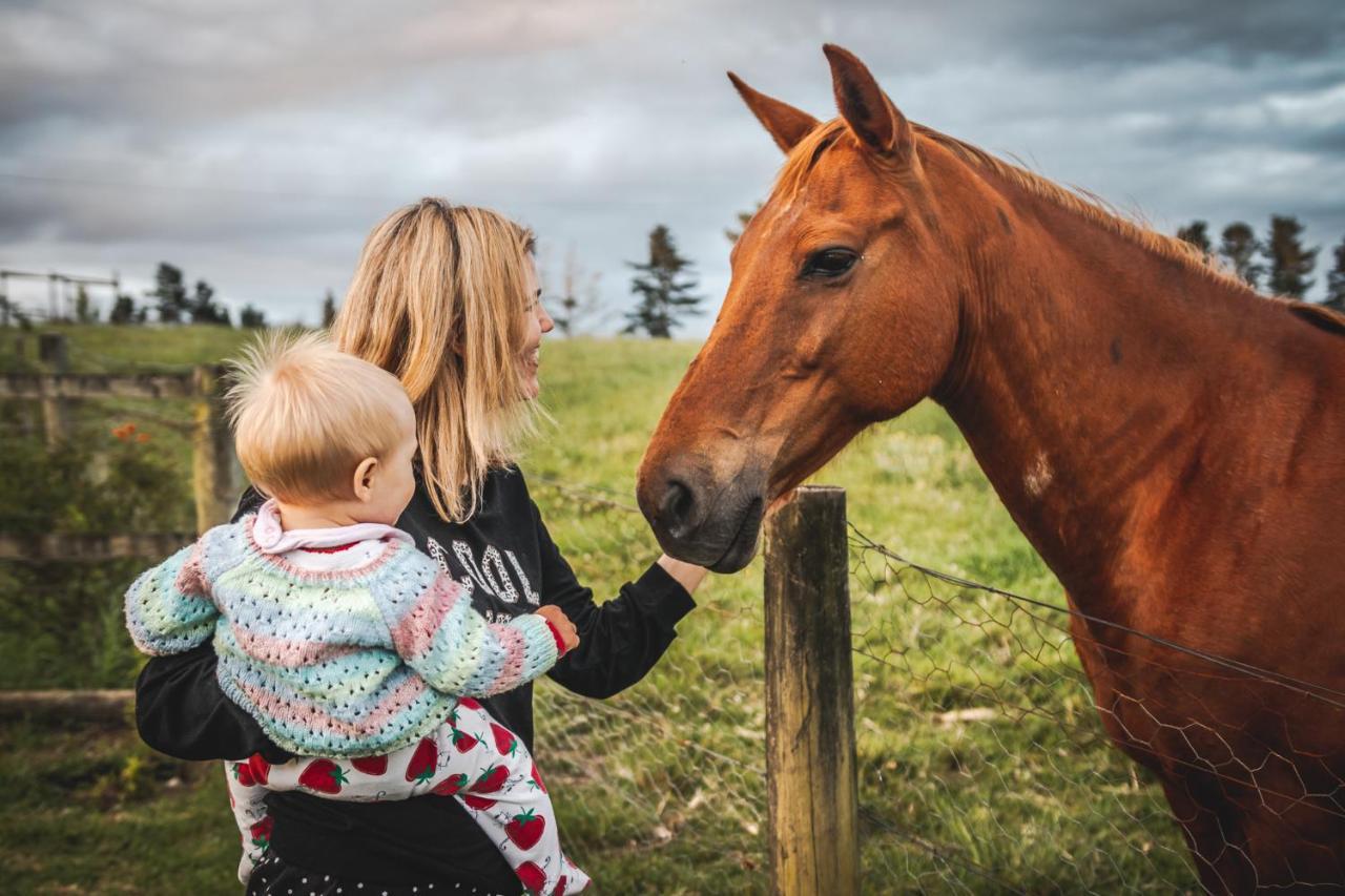 クニスナ Fernhill Guest Farmヴィラ エクステリア 写真