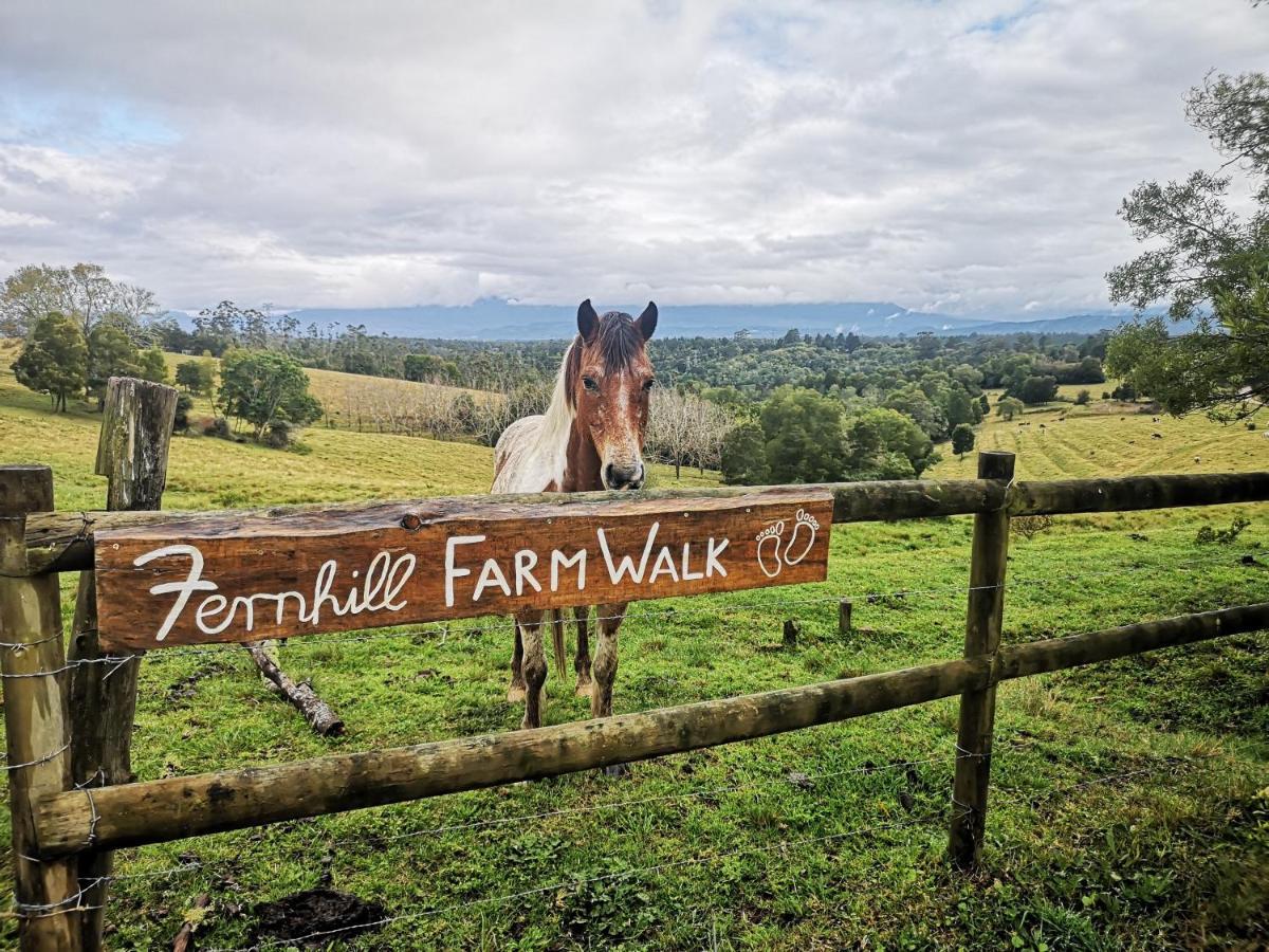 クニスナ Fernhill Guest Farmヴィラ エクステリア 写真