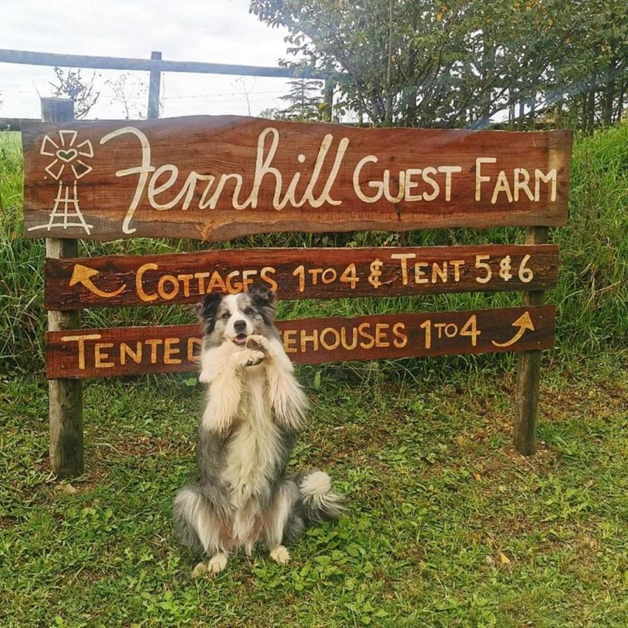 クニスナ Fernhill Guest Farmヴィラ エクステリア 写真